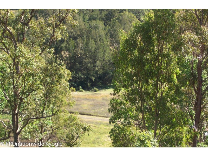 Lot 42 Tree Fern Road Loadstone, Kyogle NSW 2474