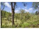 90 Iron Pot Creek Road, Ettrick, Kyogle NSW 2474
