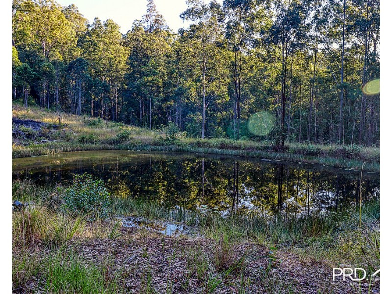 2580 Afterlee Road, Toonumbar via, Kyogle NSW 2474