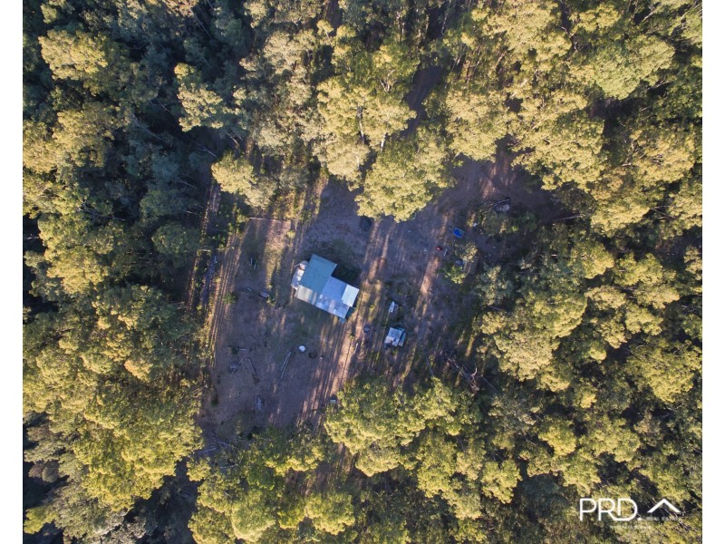 2580 Afterlee Road, Toonumbar via, Kyogle NSW 2474