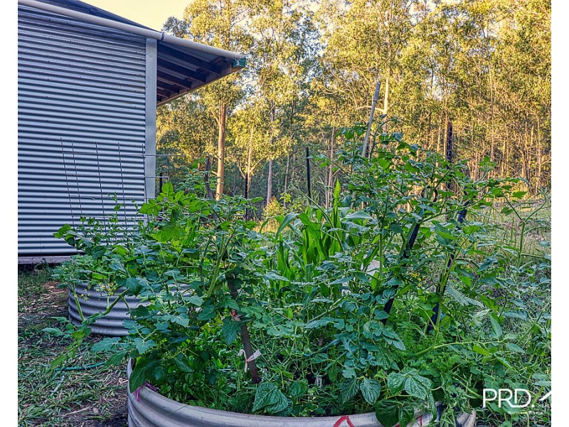 2580 Afterlee Road, Toonumbar via, Kyogle NSW 2474