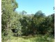 750 Roseberry Creek Road, Kyogle NSW 2474