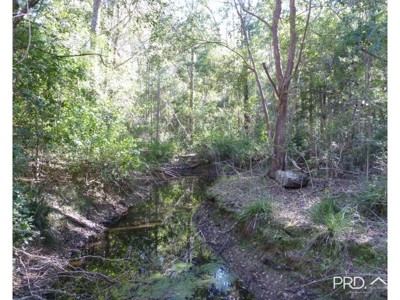750 Roseberry Creek Road, Kyogle NSW 2474