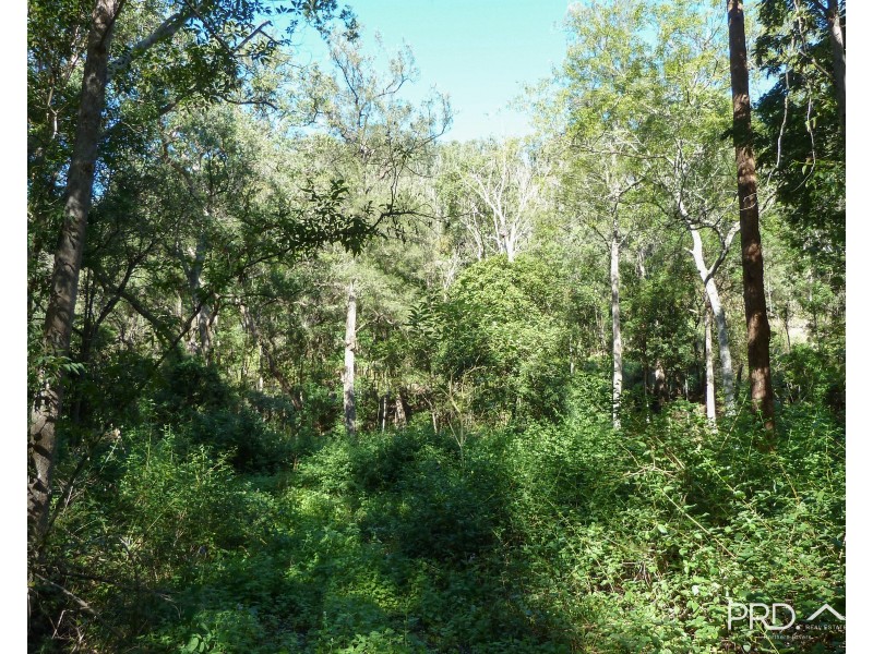 750 Roseberry Creek Road, Kyogle NSW 2474