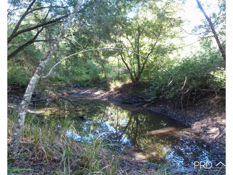 750 Roseberry Creek Road, Kyogle NSW 2474