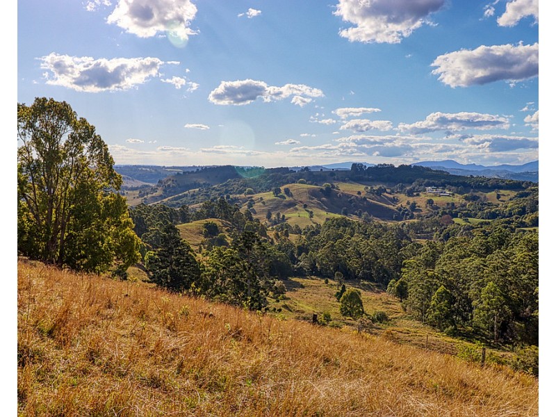 46 Beddoes Road, Modanville NSW 2480