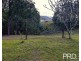 259 Smiths Creek Road, Kyogle NSW 2474