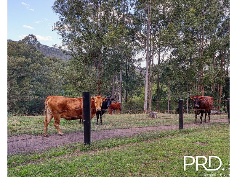 259 Smiths Creek Road, Kyogle NSW 2474