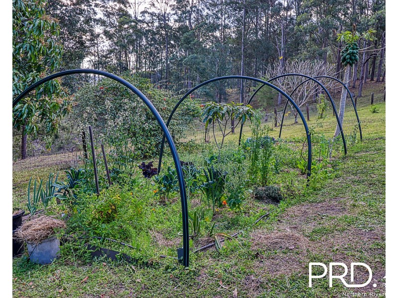 259 Smiths Creek Road, Kyogle NSW 2474