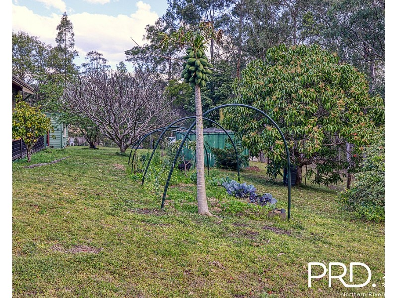 259 Smiths Creek Road, Kyogle NSW 2474