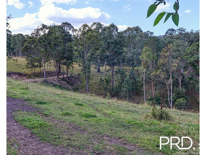259 Smiths Creek Road, Kyogle NSW 2474