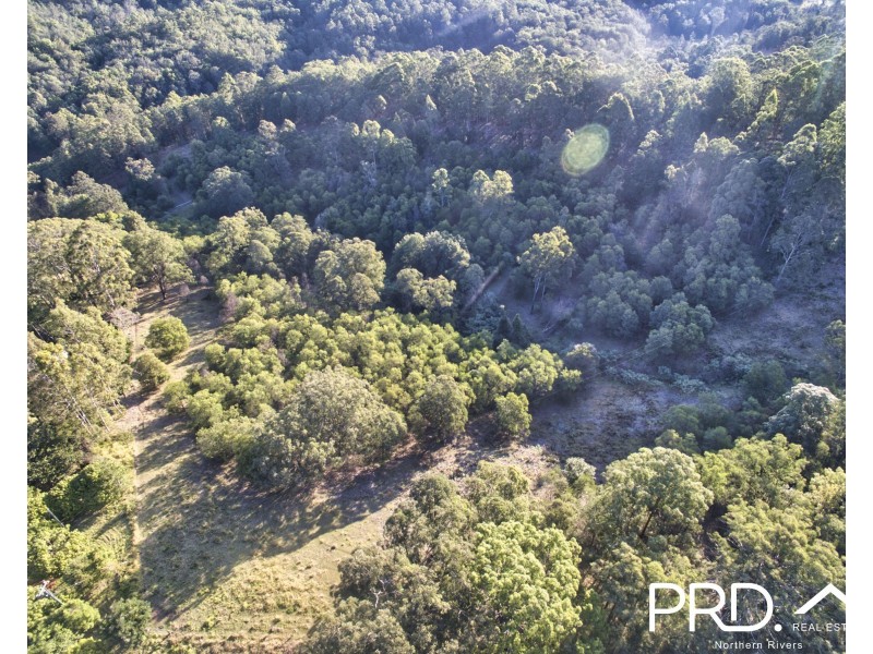 259 Smiths Creek Road, Kyogle NSW 2474