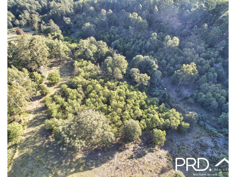 259 Smiths Creek Road, Kyogle NSW 2474