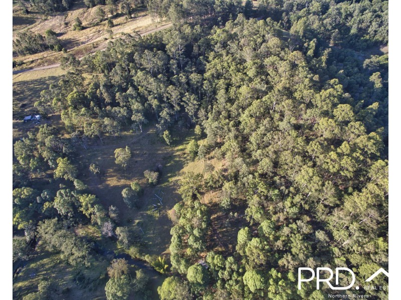 259 Smiths Creek Road, Kyogle NSW 2474