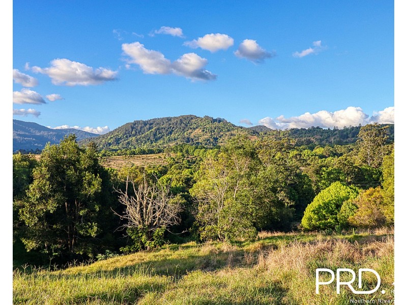 46 Kirkland Road, Nimbin NSW 2480