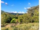 46 Kirkland Road, Nimbin NSW 2480
