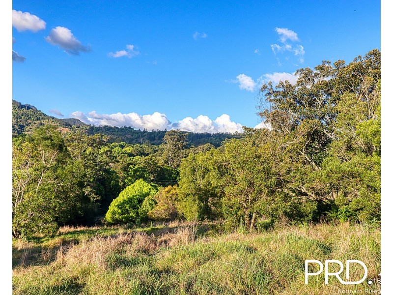 46 Kirkland Road, Nimbin NSW 2480