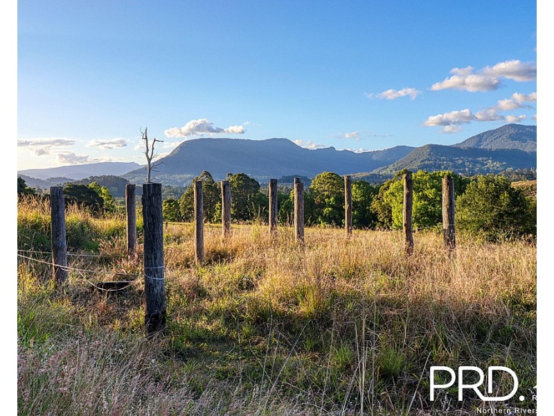 46 Kirkland Road, Nimbin NSW 2480