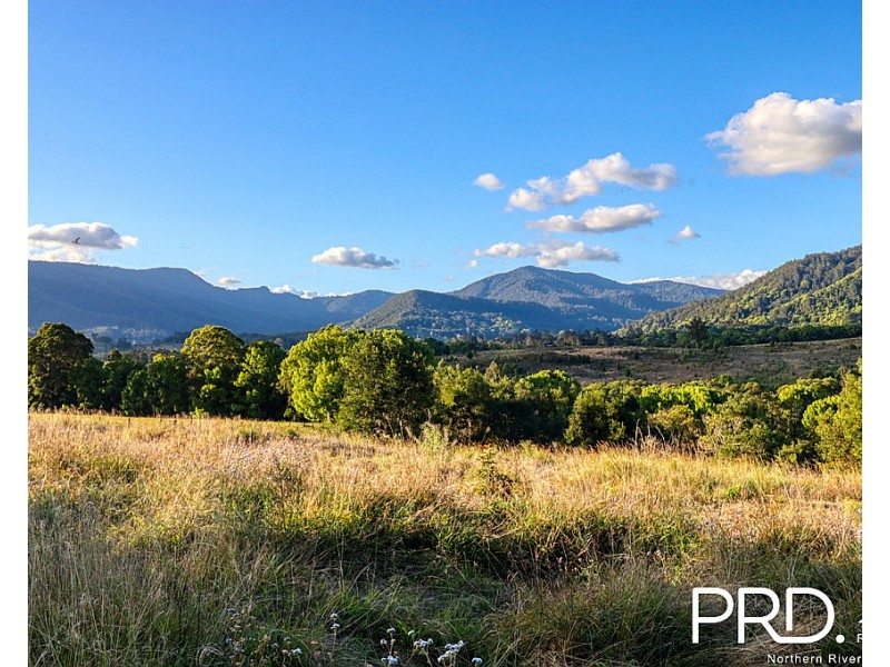 46 Kirkland Road, Nimbin NSW 2480