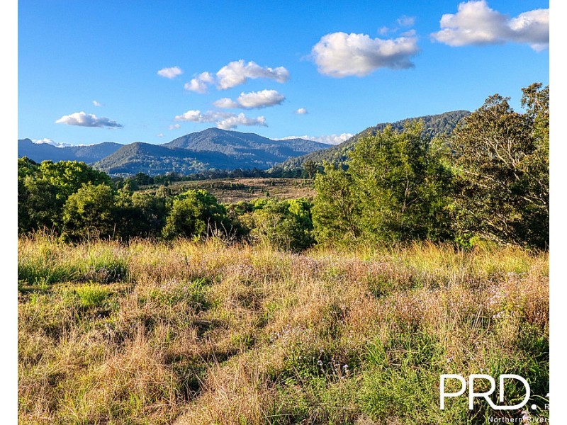 46 Kirkland Road, Nimbin NSW 2480