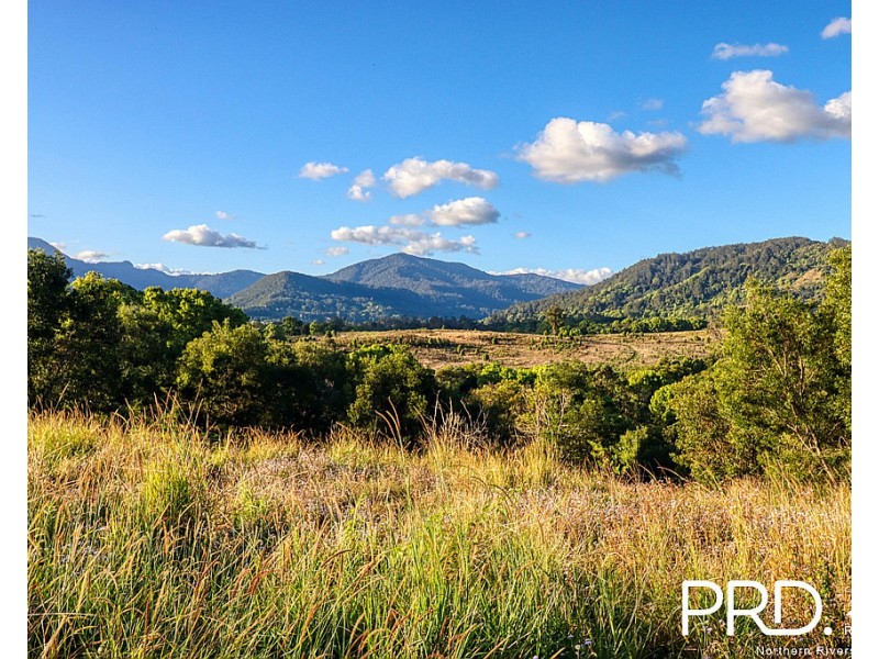 46 Kirkland Road, Nimbin NSW 2480