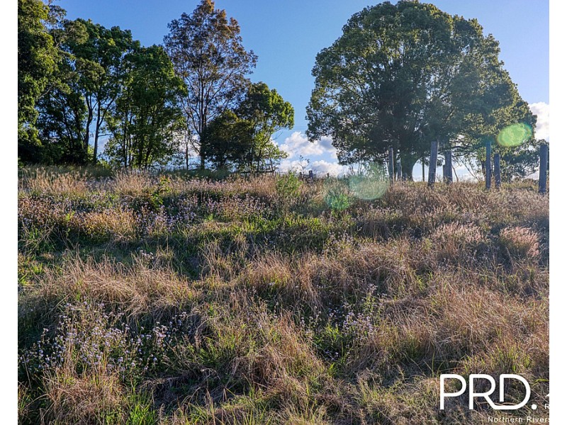 46 Kirkland Road, Nimbin NSW 2480