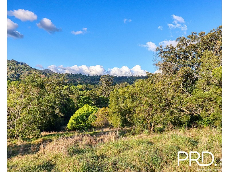 46 Kirkland Road, Nimbin NSW 2480