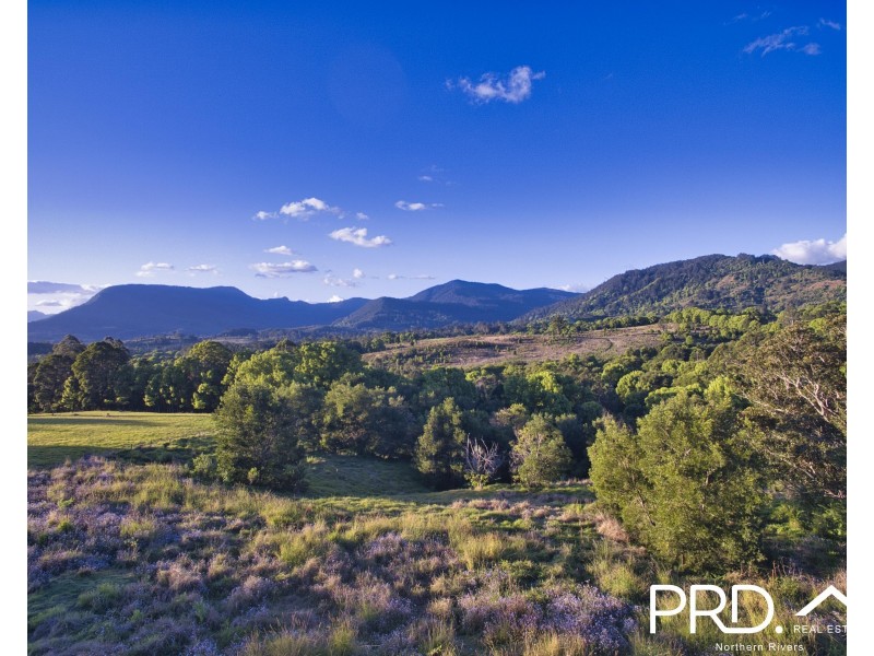 46 Kirkland Road, Nimbin NSW 2480