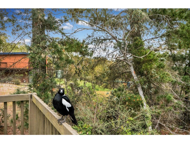 100 Victoria Street, Mount Victoria NSW 2786