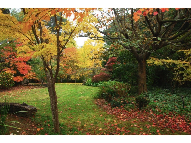 61 Valley Road, Wentworth Falls NSW 2782