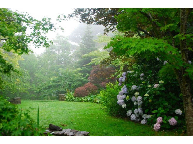 61 Valley Road, Wentworth Falls NSW 2782