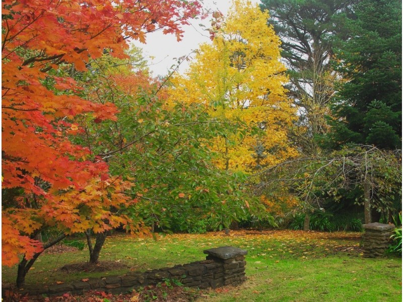 61 Valley Road, Wentworth Falls NSW 2782