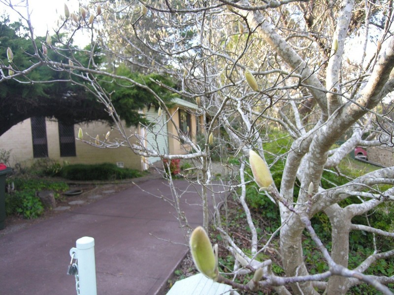 94 Craigend Street, Leura NSW 2780