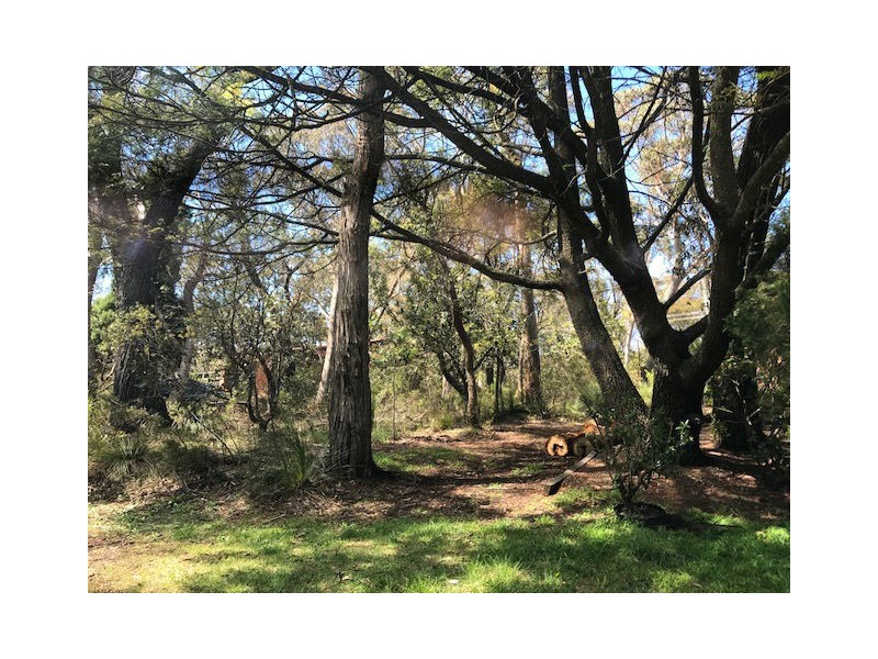 315 Cliff Drive, Katoomba NSW 2780