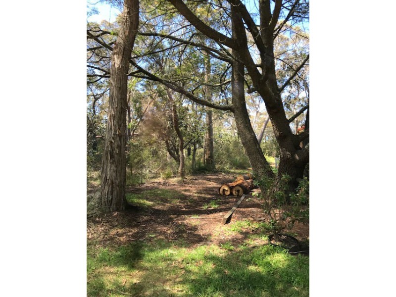 315 Cliff Drive, Katoomba NSW 2780