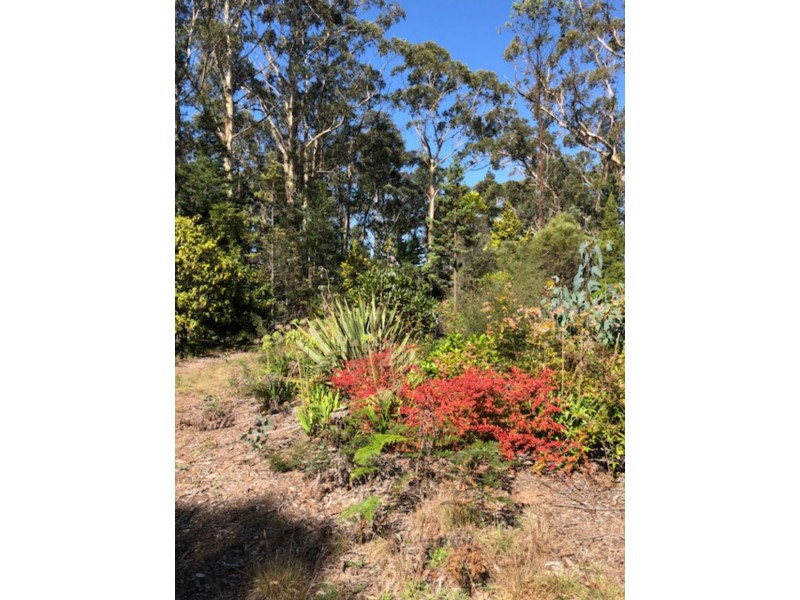 34-36 Rutland Road, Medlow Bath NSW 2780