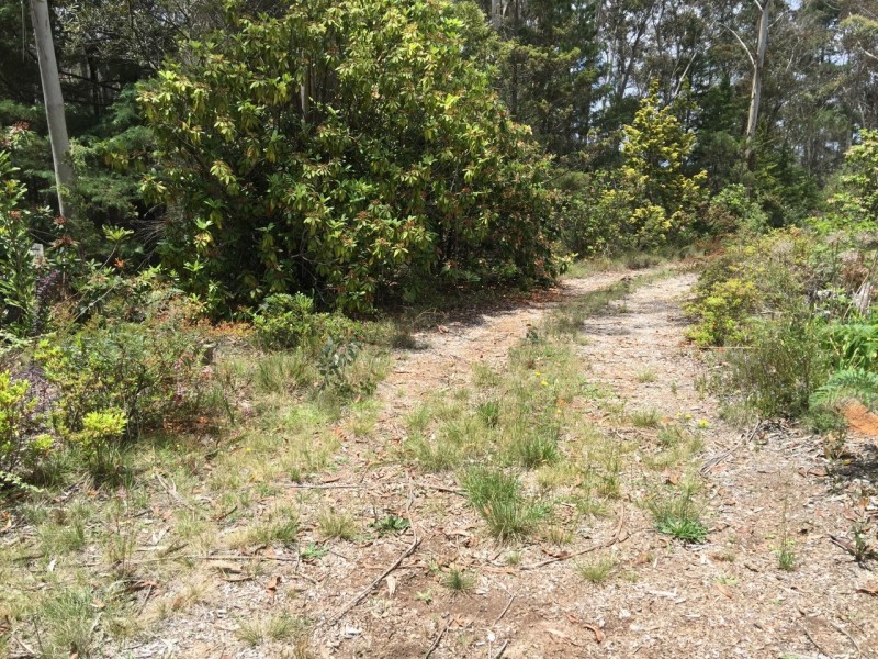 34-36 Rutland Road, Medlow Bath NSW 2780