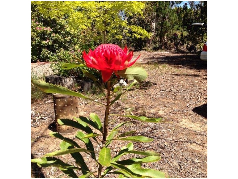 34-36 Rutland Road, Medlow Bath NSW 2780