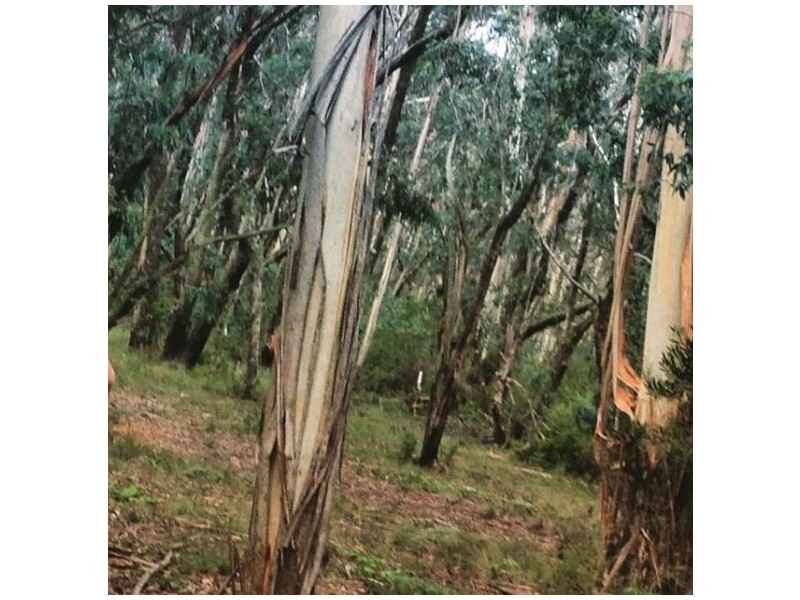 34-36 Rutland Road, Medlow Bath NSW 2780