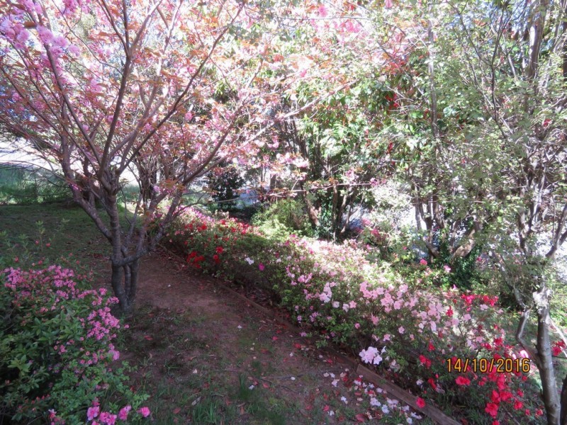 25 Victoria Street, Katoomba NSW 2780