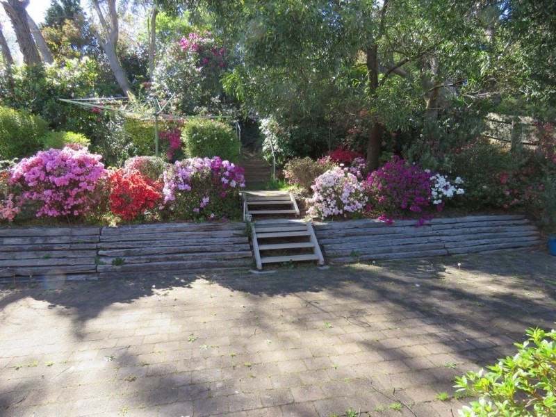 25 Victoria Street, Katoomba NSW 2780