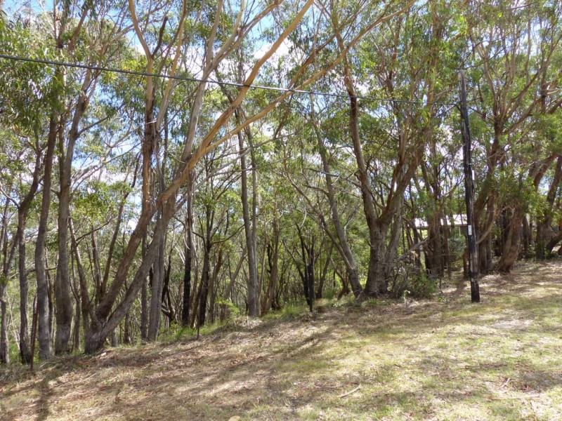 49 Boronia Road, Bullaburra NSW 2784