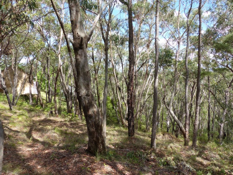 49 Boronia Road, Bullaburra NSW 2784