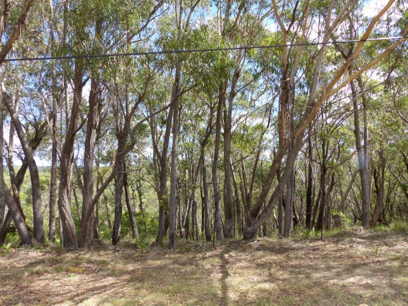 49 Boronia Road, Bullaburra NSW 2784