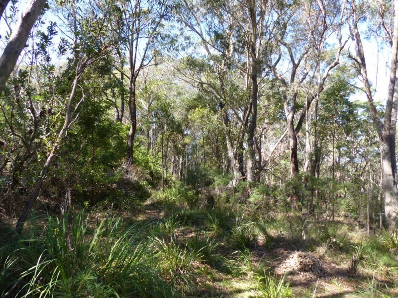 96 Boronia Road, Bullaburra NSW 2784