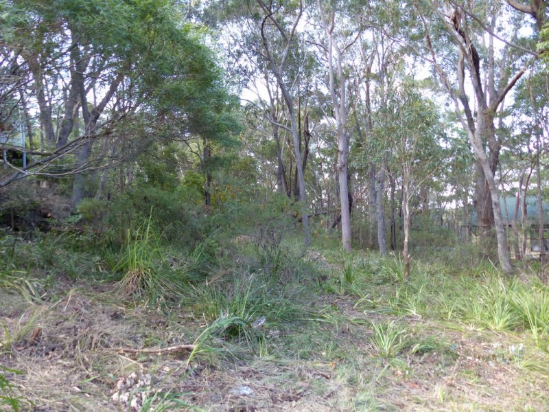 96 Boronia Road, Bullaburra NSW 2784