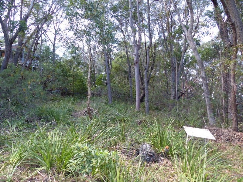 96 Boronia Road, Bullaburra NSW 2784