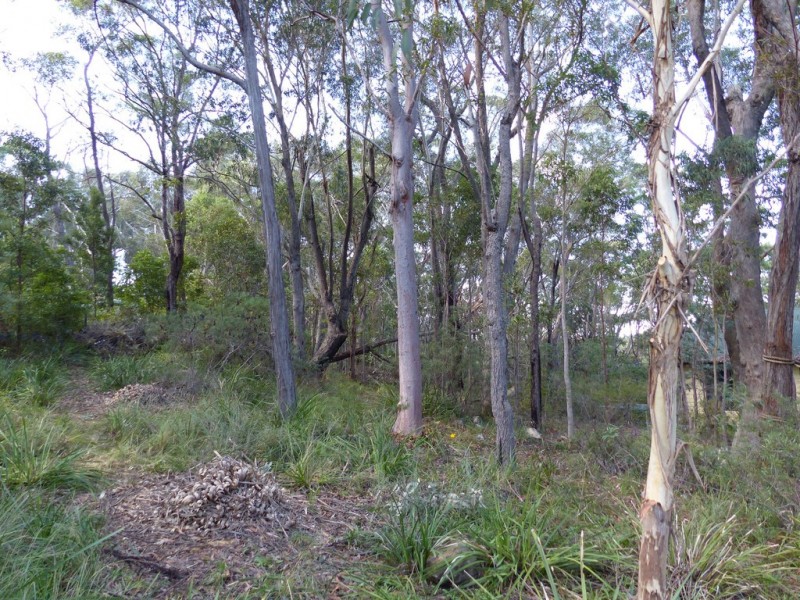 96 Boronia Road, Bullaburra NSW 2784