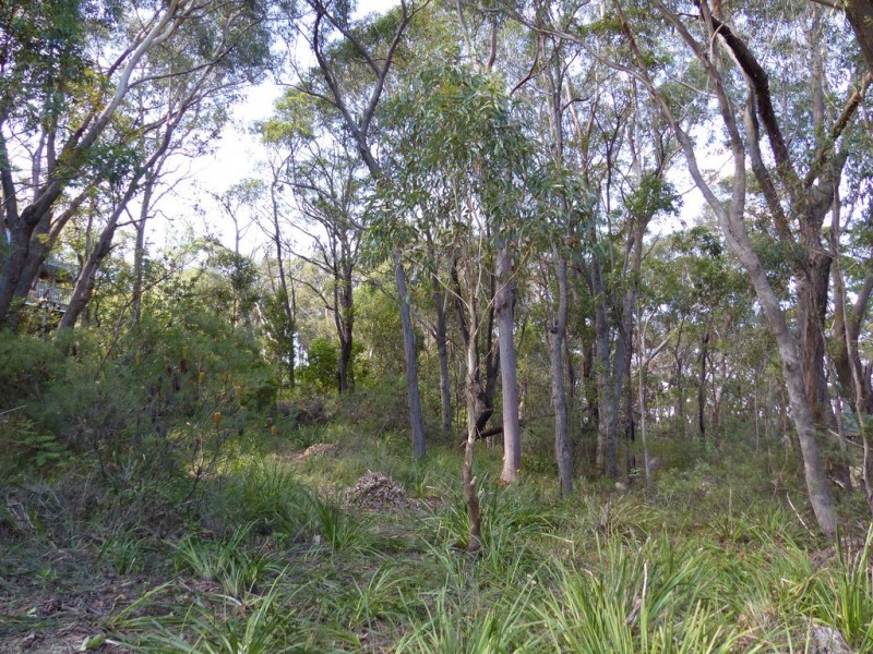 96 Boronia Road, Bullaburra NSW 2784