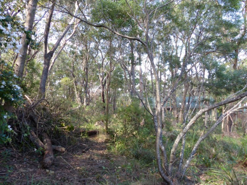 96 Boronia Road, Bullaburra NSW 2784